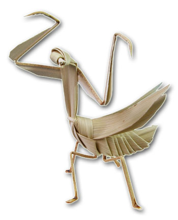 カマキリ